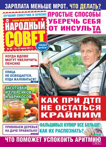 Народный совет №30/2017 — Группа авторов