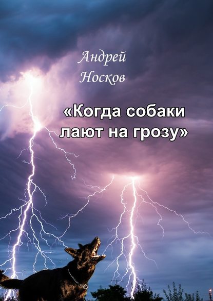 Когда собаки лают на грозу. Тонкие детали должны быть замечены - Андрей Носков