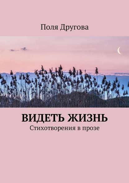 Видеть жизнь. Стихотворения в прозе - Поля Другова