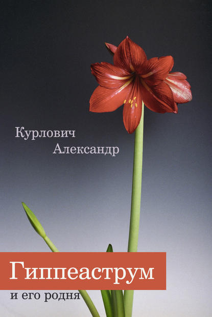 Гиппеаструм и его родня - Александр Курлович