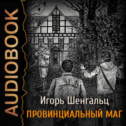 Провинциальный маг. Фактор Трикстера — Игорь Шенгальц