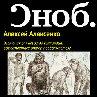 Эволюция от негра до голландца: естественный отбор продолжается? — Алексей Алексенко