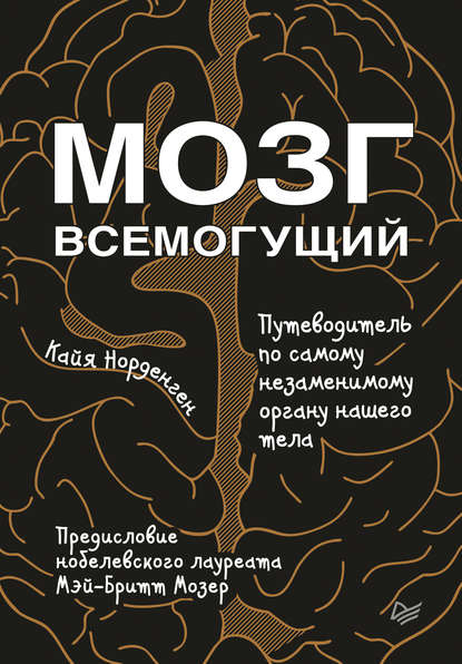 Мозг всемогущий. Путеводитель по самому незаменимому органу нашего тела — Кайя Норденген