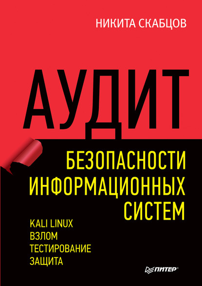 Аудит безопасности информационных систем (pdf+epub) - Никита Скабцов