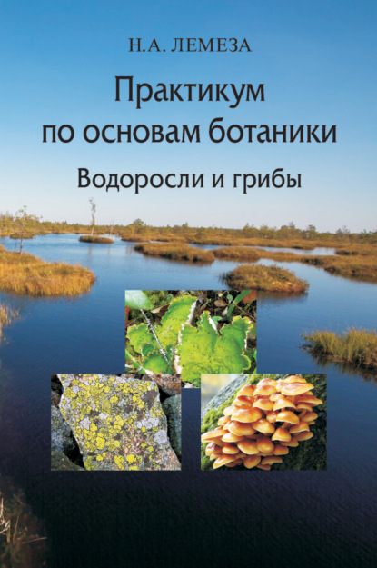 Практикум по основам ботаники. Водоросли и грибы — Н. А. Лемеза