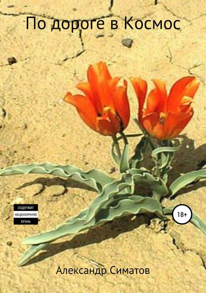 По дороге в Космос - Александр Вениаминович Симатов