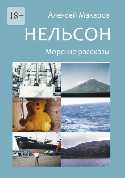 Нельсон. Морские рассказы - Алексей Владимирович Макаров