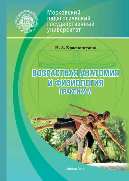 Возрастная анатомия и физиология. Практикум - Н. А. Красноперова