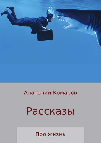 Рассказы про жизнь - Анатолий Николаевич Комаров