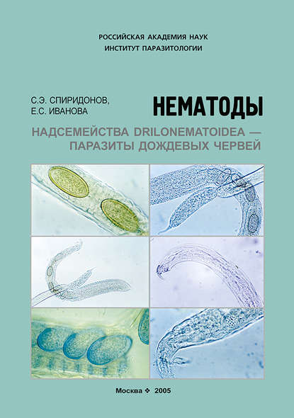 Нематоды надсемейства Drilonematoidea – паразиты дождевых червей - С. Э. Спиридонов