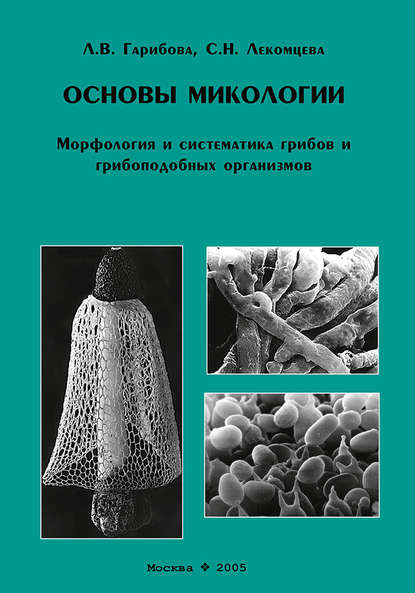 Основы микологии. Морфология и систематика грибов и грибоподобных организмов - Л. В. Гарибова