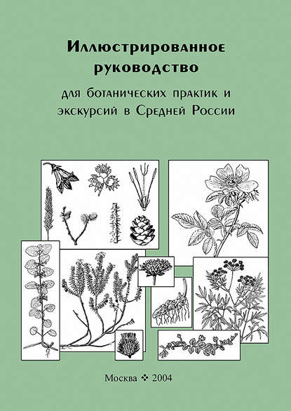 Иллюстрированное руководство для ботанических практик и экскурсий в Средней России - Владимир Скворцов