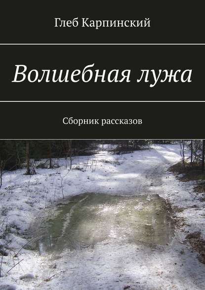 Волшебная лужа. Сборник рассказов - Глеб Карпинский