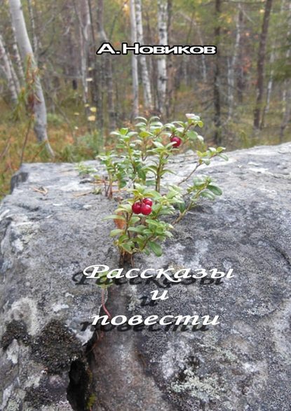 Рассказы и повести - Александр Новиков