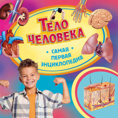 Тело человека - Ирина Травина