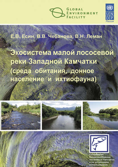 Экосистема малой лососевой реки Западной Камчатки (среда обитания, донное население и ихтиофауна) - В. Н. Леман