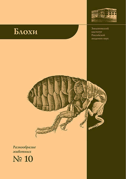 Блохи – домашние или домовые животные? — Андрей Алексеев