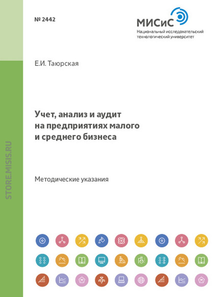 Учет, анализ и аудит на предприятиях малого и среднего бизнеса. Методические указания к проведению практических занятий - Евгения Иннокентьевна Таюрская