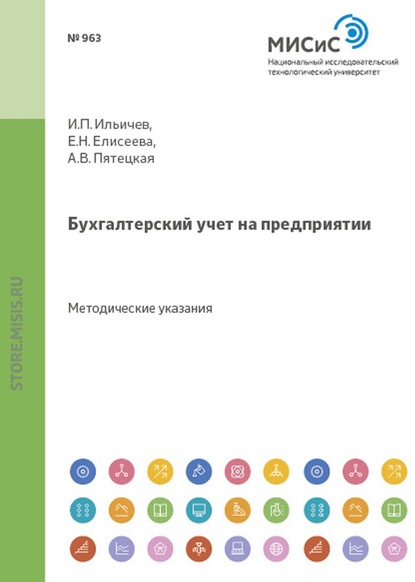 Бухгалтерский учет на предприятии - Евгения Николаевна Елисеева