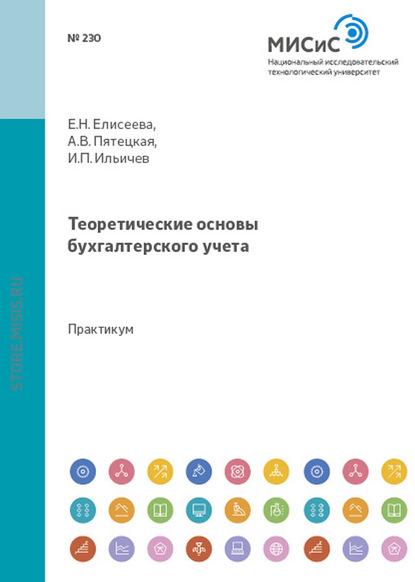 Теоретические основы бухгалтерского учета - Евгения Николаевна Елисеева