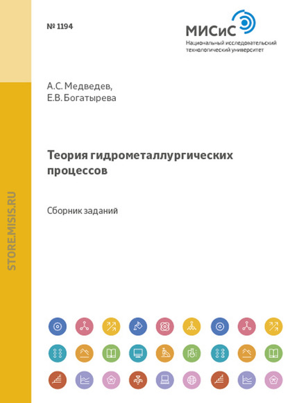 Теория гидрометаллургических процессов - Е. В. Богатырева