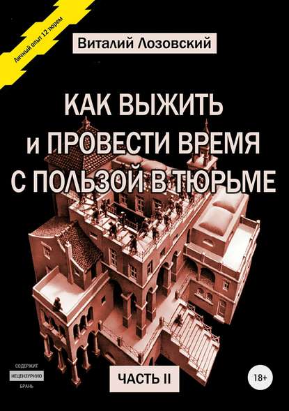 Как выжить и провести время с пользой в тюрьме. Часть 2 - Виталий Зегмантович Лозовский