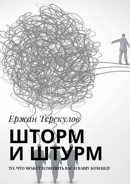 Шторм и штурм. То, что может изменить вас и вашу команду - Ержан Терекулов