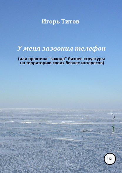 У меня зазвонил телефон, или Практика «захода» бизнес-структуры на территорию своих бизнес-интересов - Игорь Борисович ТИТОВ