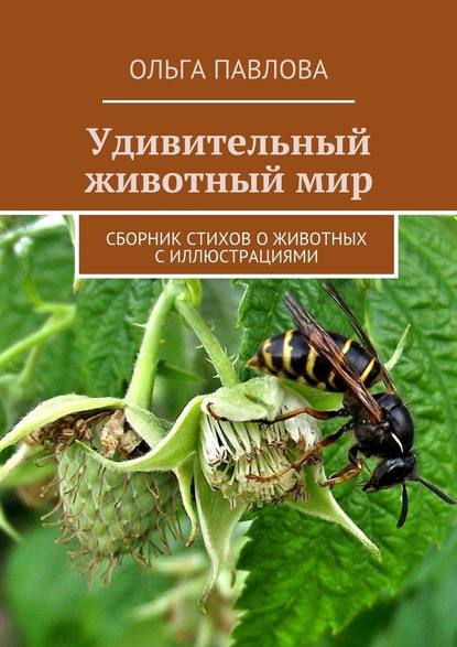 Удивительный животный мир. Сборник стихов о животных с иллюстрациями — Ольга Павлова