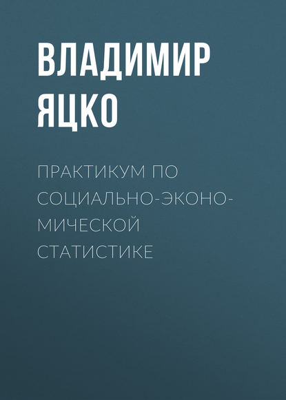 Практикум по социально-экономической статистике - В. А. Яцко