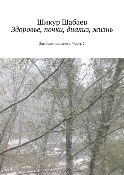 Здоровье, почки, диализ, жизнь. Часть 2. Записки пациента — Шикур Шавкетович Шабаев