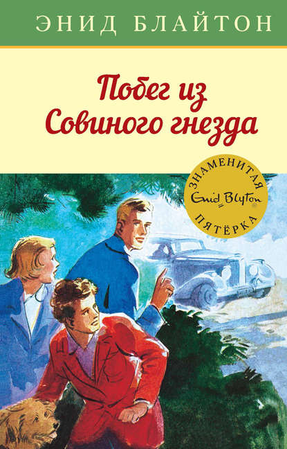 Побег из Совиного гнезда - Энид Блайтон