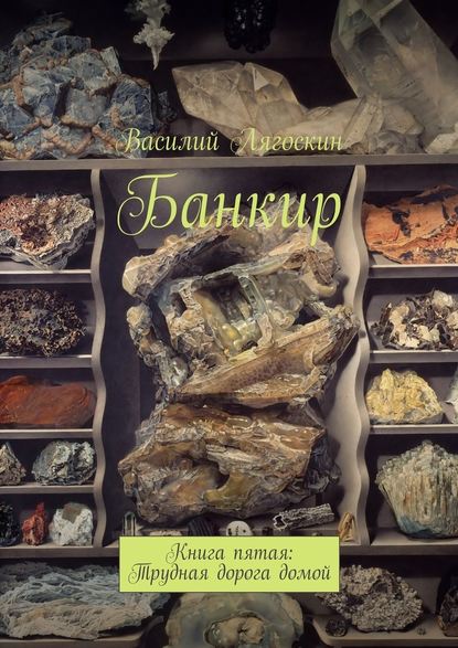 Банкир. Книга пятая: Трудная дорога домой - Василий Лягоскин