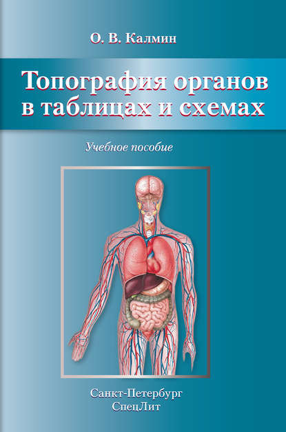 Топография органов в таблицах и схемах. Учебное пособие - О. В. Калмин