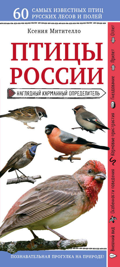 Птицы России. Наглядный карманный определитель - Ксения Митителло