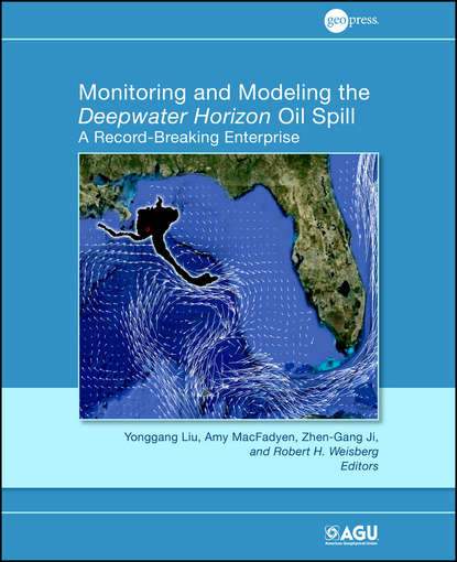 Monitoring and Modeling the Deepwater Horizon Oil Spill - Группа авторов