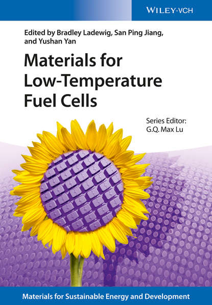 Materials for Low-Temperature Fuel Cells - Группа авторов