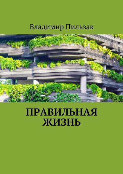 Правильная жизнь - Владимир Пильзак