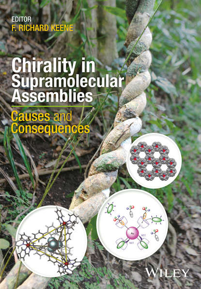 Chirality in Supramolecular Assemblies - Группа авторов