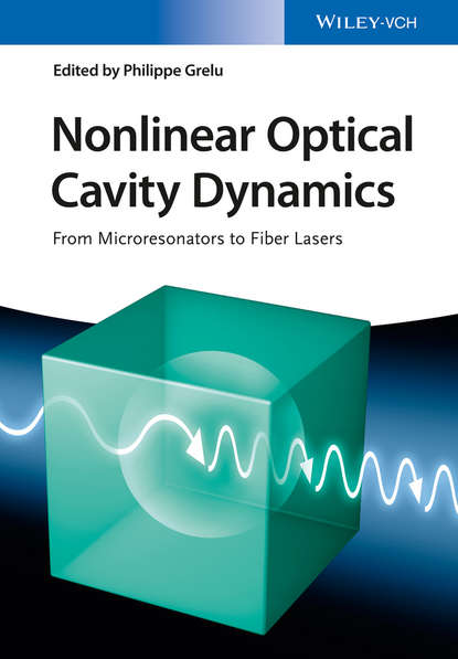 Nonlinear Optical Cavity Dynamics - Группа авторов