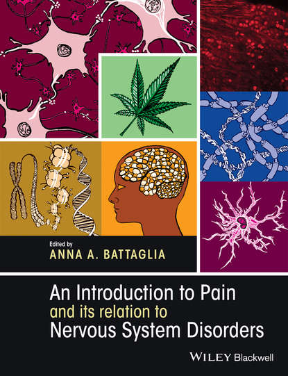 An Introduction to Pain and its relation to Nervous System Disorders - Группа авторов