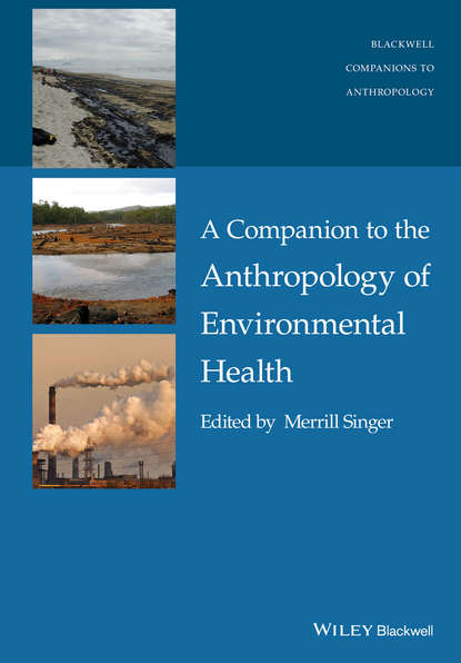 A Companion to the Anthropology of Environmental Health - Группа авторов