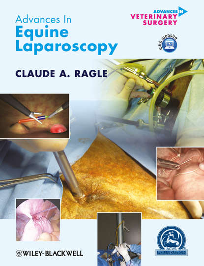 Advances in Equine Laparoscopy - Группа авторов