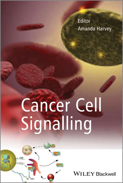 Cancer Cell Signalling - Группа авторов