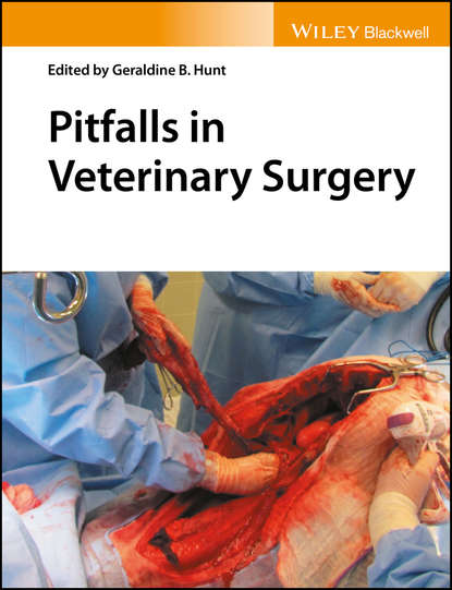 Pitfalls in Veterinary Surgery - Группа авторов