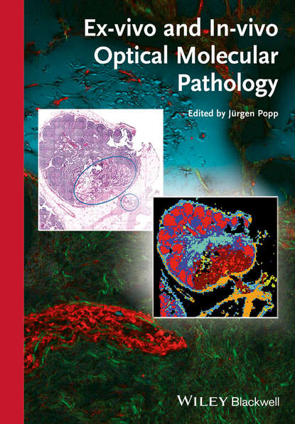 Ex-vivo and In-vivo Optical Molecular Pathology - Группа авторов