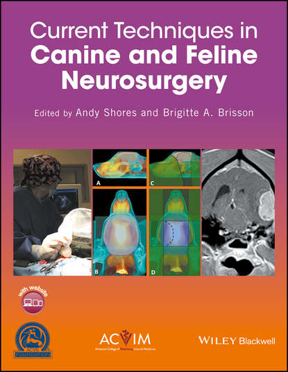 Current Techniques in Canine and Feline Neurosurgery - Группа авторов