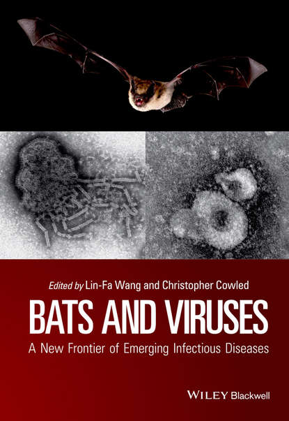 Bats and Viruses - Группа авторов