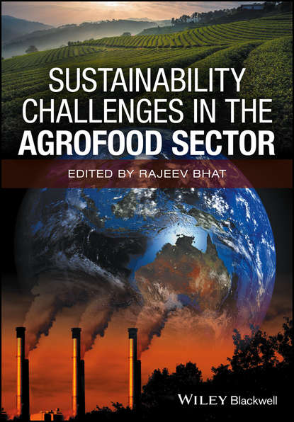 Sustainability Challenges in the Agrofood Sector - Группа авторов