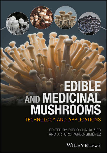 Edible and Medicinal Mushrooms - Группа авторов